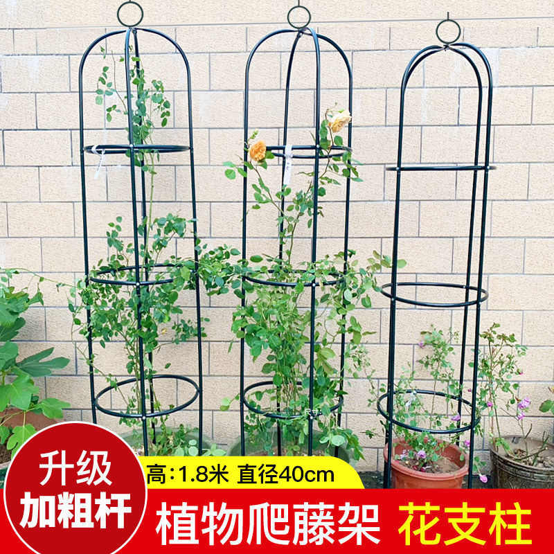 铁艺阳台固定支架爬架花架月季绿萝花盆支架室内绿植爬藤架花姗婷