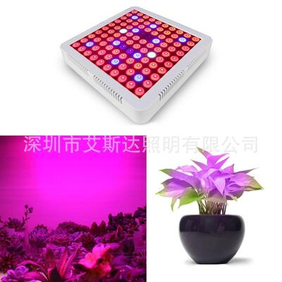 跨境植物灯100W300W600W植物生长灯促多肉育苗茎叶大棚蔬菜补光灯