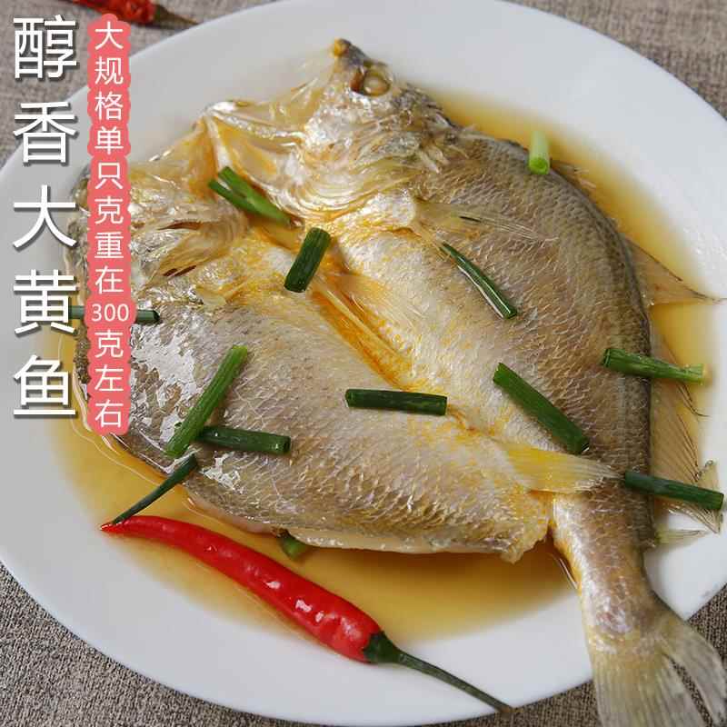 醇香大黄鱼新鲜冷冻黄花鱼300g/只海鲜宁德黄鱼鲞【免洗杀已调味