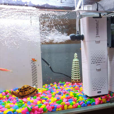 森森三合一鱼缸增氧过滤器内置净水循环小型水族箱乌龟小鲤过滤器