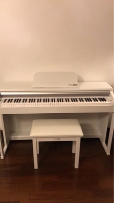 如何评价TheONE和卡西欧电钢琴比，应该选择谁呢？