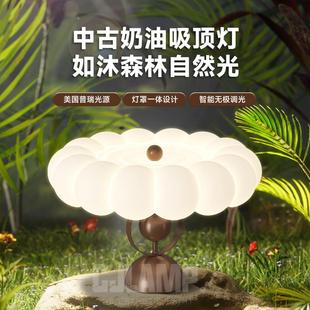 法式 室吸顶灯中古油风主卧公主房灯具简629约羽毛奶灯计师设卧书