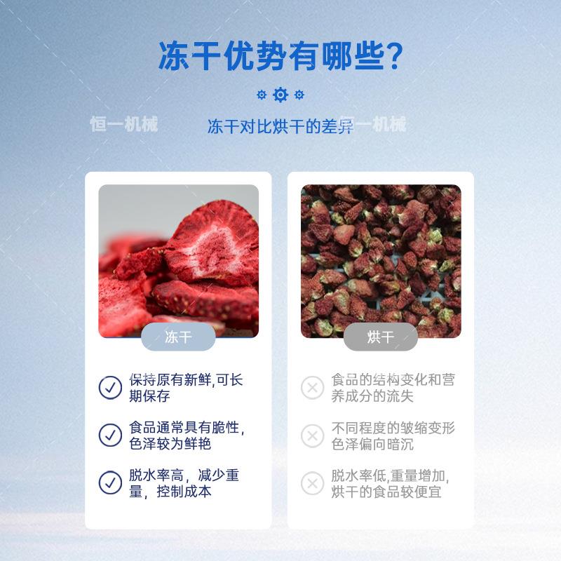 食品鸡胸肉真空冷冻干燥机肉类水果蔬菜锁鲜真空冷冻烘干机设备