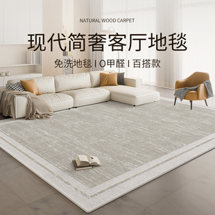 免洗可擦卧室床边毯家用轻奢高级沙发茶几地毯垫 地毯客厅2025新款