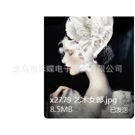 0252新装F-X2779饰画款厂家