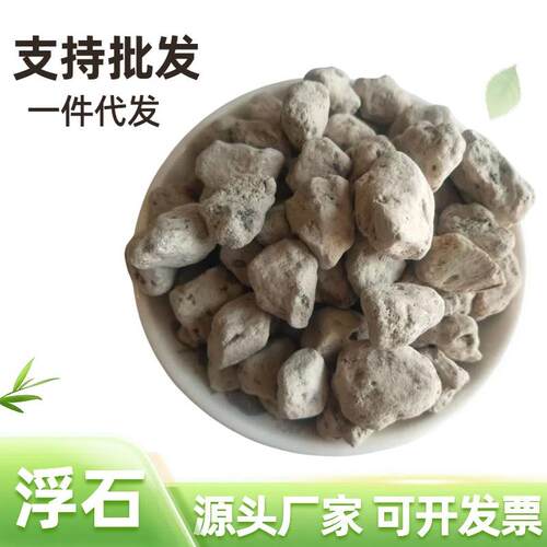 轻石厂家供应火山浮石水处理滤料兰花养殖用玻璃水质净化用