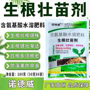 强力生根壮苗剂生根壮苗根系增多茎秆粗壮根系发达生根养根护根