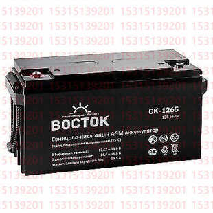电瓶 1265 蓄电池12V65AH 进口 船舶原装 PRO 俄罗斯BOCTOK
