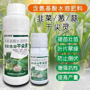 肥公肥婆韭葱姜蒜干尖灵专用水溶叶面肥提苗壮苗叶厚叶绿提高产量