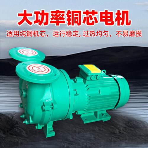厂家直供2BV水环式真空泵工业机械用高真空水循环泵不锈钢真空泵