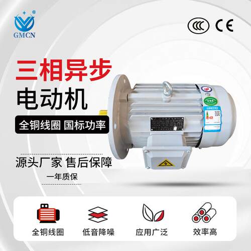 6极三相异步电动机 YE3-80M1/M2-6电机0.37KW/0.55KW 380V马达