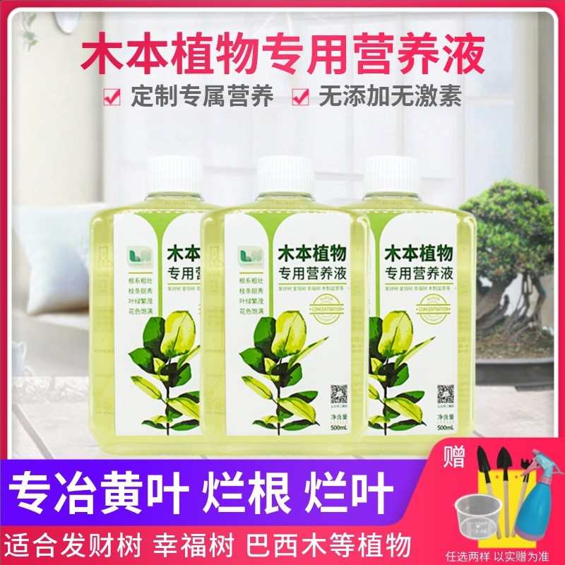 乐时蔬木本植物营养液盆栽水溶液体肥料发财树富贵竹龙血树专用肥