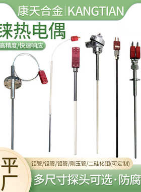 C型D型钨铼热电偶 耐高温0-2300℃钼管钽管钨管刚玉WRe5-26真空炉