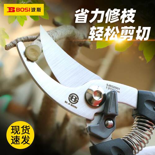 波斯花枝剪修枝剪树枝剪花艺园林剪家用花果树剪修花果树 修枝剪