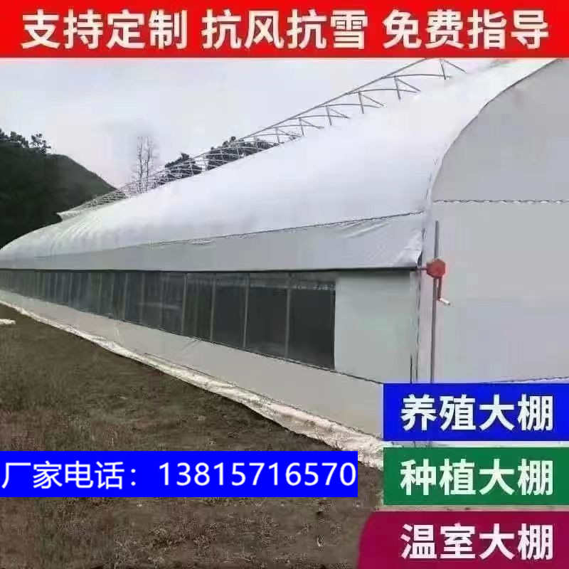 大棚骨架椭圆管保温养殖钢管钢架种植蔬菜温室半坡暖棚肩并肩连体