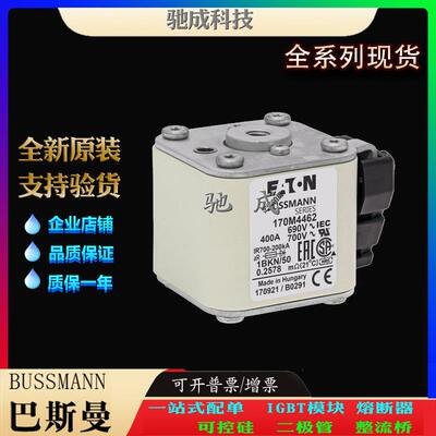 巴斯曼170M4462 170M4463 170M4464 大量现货销售 快速保险丝