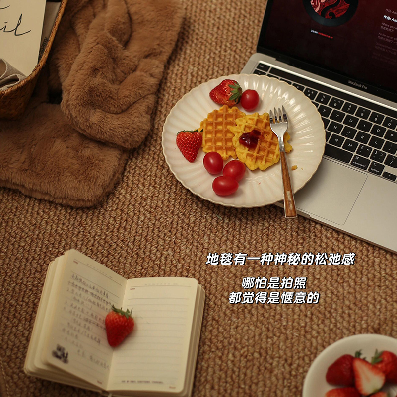 摄影棚拍照专用背景布地毯客厅免洗可擦地垫仿剑麻商用工作室地毯
