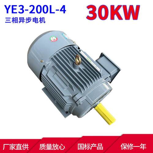 YE3系列马达三相异步电动机YE3-200L-4 30KW 4极三相异步电机本速