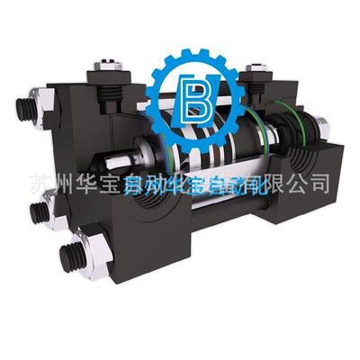 意大利VEGA油缸V250CE带磁感应薄型油缸CM040E