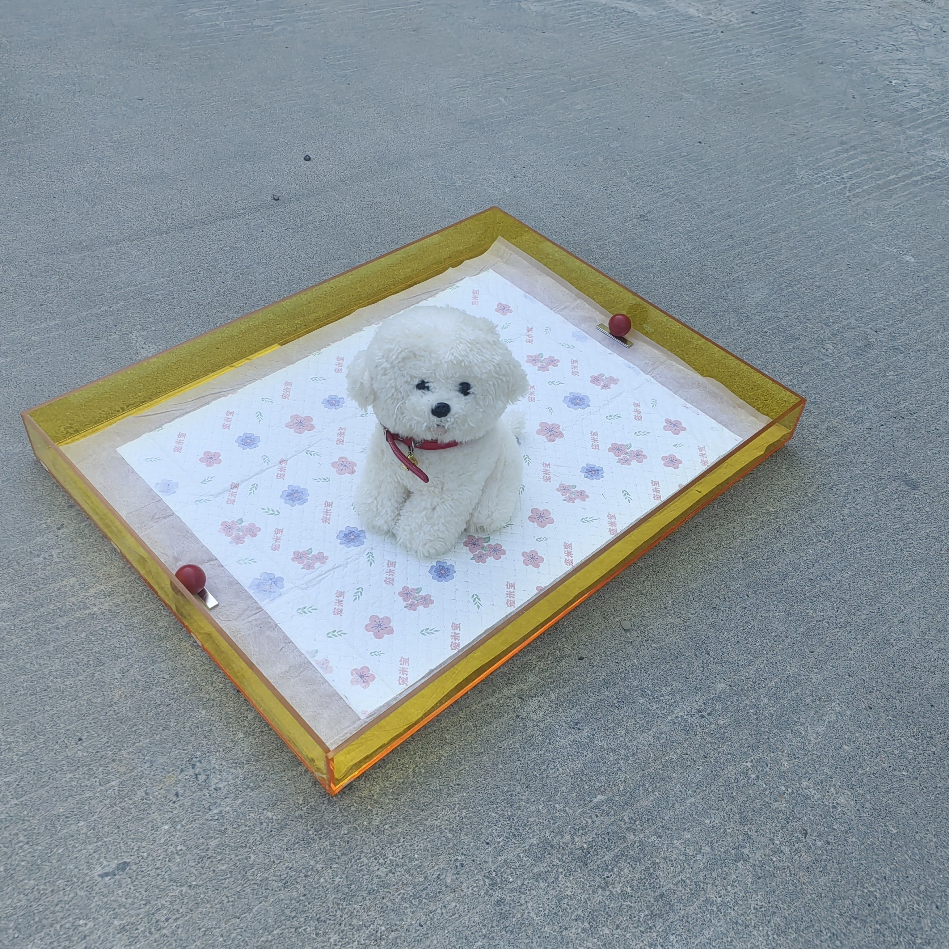 亚克力狗厕所小型犬厕所磁吸防滑马尔济斯狗厕所小型犬专用