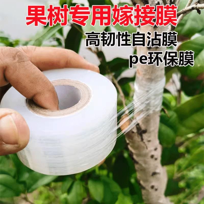 嫁接膜专用膜PE无需打结薄膜 嫁接绑带果树苗木包扎带 自粘膜包邮