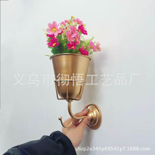 跨境新品Opal Wall Vessel挂钩花盆架一体金属创意壁挂家居装饰品