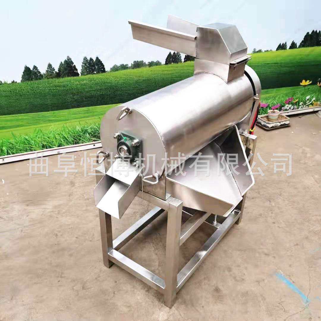 黄桃去核打浆机 不锈钢红枣去核打浆机 多功能琵琶去核打浆机