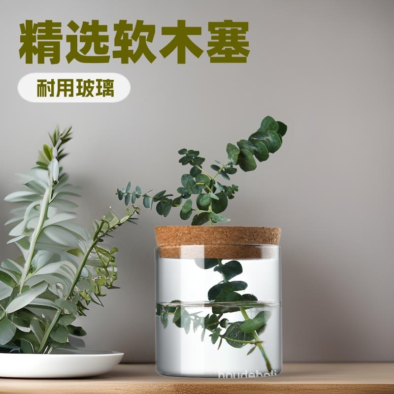 精选软木塞玻璃储物罐桌面居家直筒收纳花瓶香料分装玻璃罐