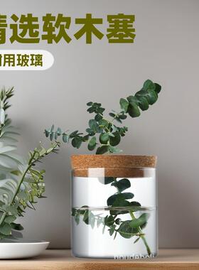 精选软木塞玻璃储物罐桌面居家直筒收纳花瓶香料分装玻璃罐