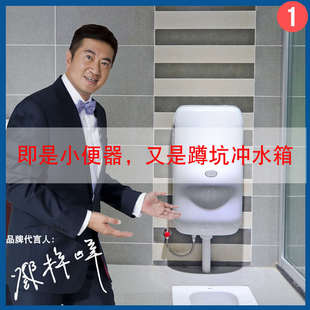 爱可恩冲水箱厕所蹲便器内嵌式 卫生间蹲厕蹲坑式 大冲力自动挂墙式