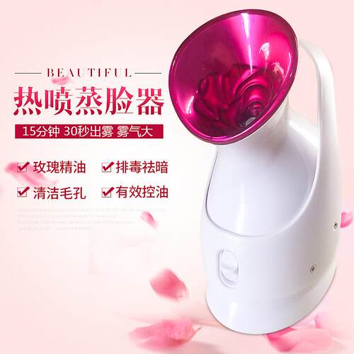 厂家供应 家用蒸脸美容仪毛孔清洁器 热喷脸部美容加湿补水蒸脸仪