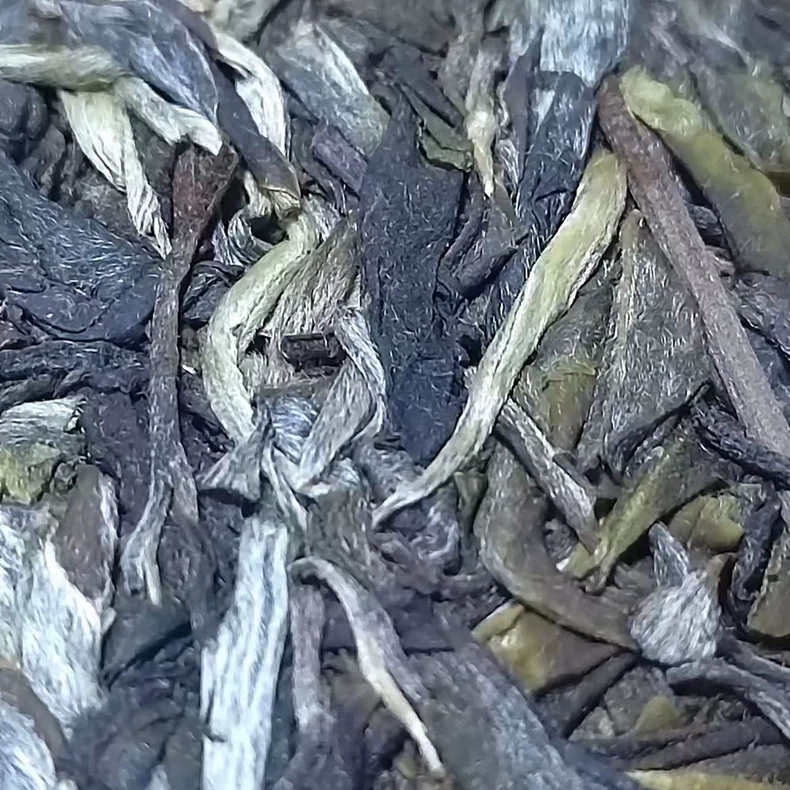 新班章松煙香蘭花香普洱生普春茶特級 普洱茶 BUASHOP普洱老茶