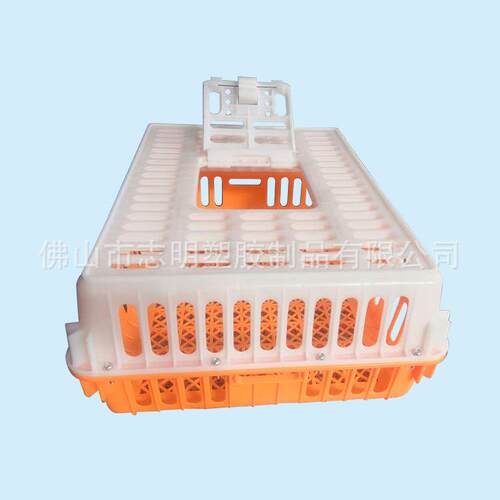 志明塑胶 塑胶鸡笼 运输周转箩 塑料周转鸡笼