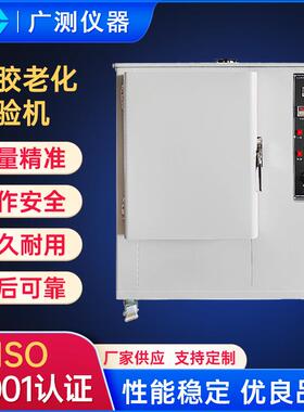 橡胶老化试验机塑料电线换气式自然通风试验高温老化测试试验箱
