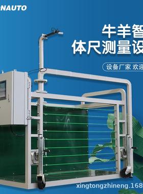 羊只生长性能测量设备羊体高体长胸宽测量羊体尺测量设备