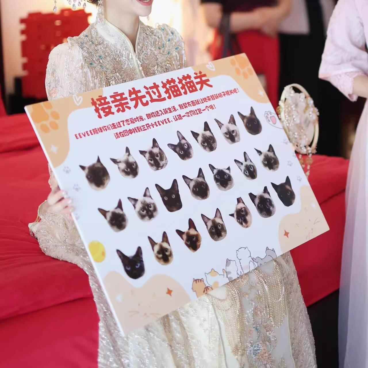 【接亲堵门小游戏】萌宠大作战 结婚文明游戏道具全套kt板拍照道