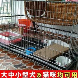 阳台无臭养鸡笼养鸡笼子，鸡笼家用大码特大组装折叠养鸡笼