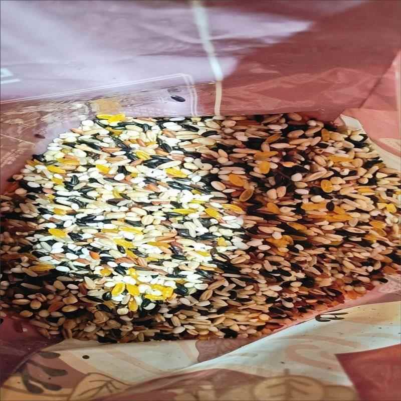 五常十色糙米VOR10斤5健斤米低脂身五谷杂粮饭粗粮黑代餐主健食康