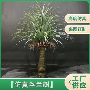 观赏塑料丝兰树绿植户外装 饰花槽长条栅栏插花庭院盆栽真