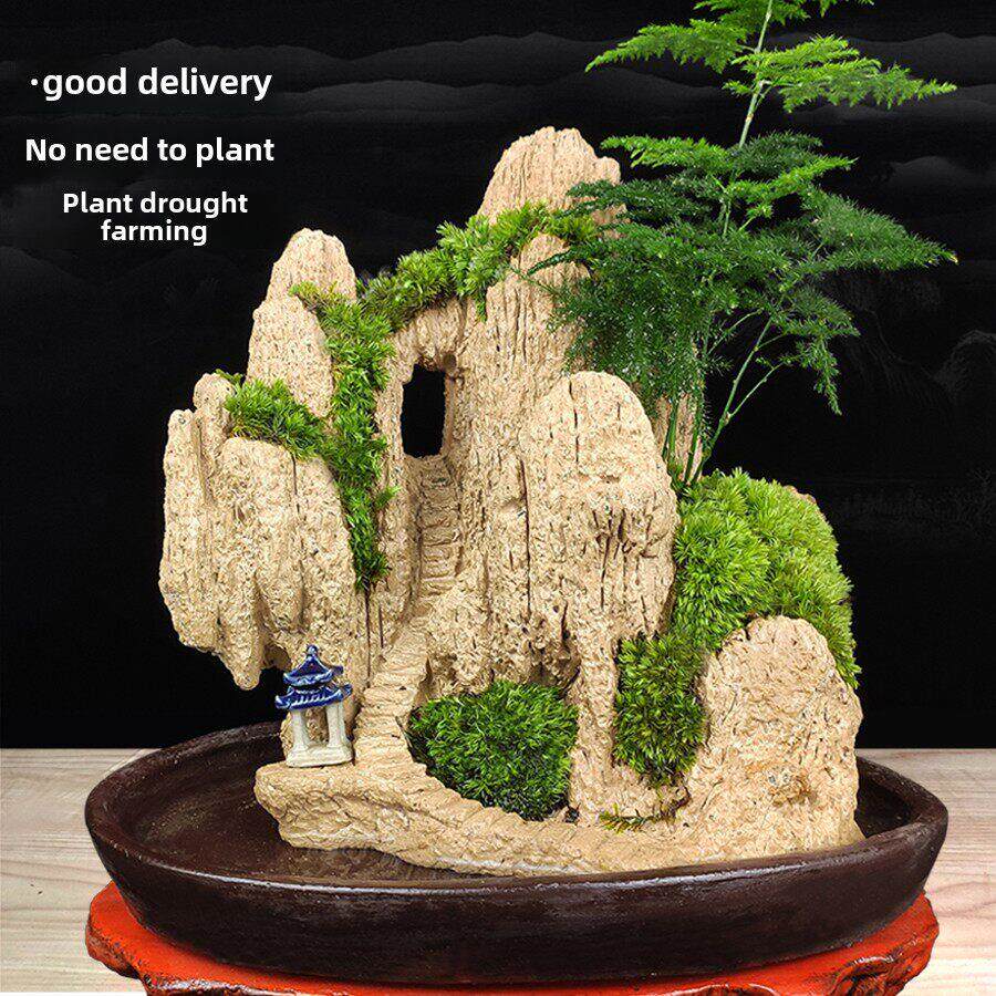 采购产品养货，假山盆景，吸水景观，奇石，天然植物，水开花，水