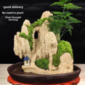 假山盆景 水开花 吸水景观 天然植物 水 奇石 采购产品养货