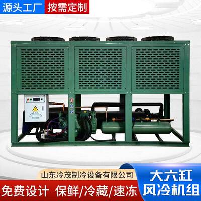 大六缸比泽尔型制冷压缩机厂家6F-40.2|40匹水冷 风冷式冷凝机组