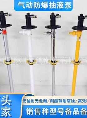 氟塑料油桶泵HD-A1+PVDF-1000气动插桶泵防爆气动抽液泵溶剂泵