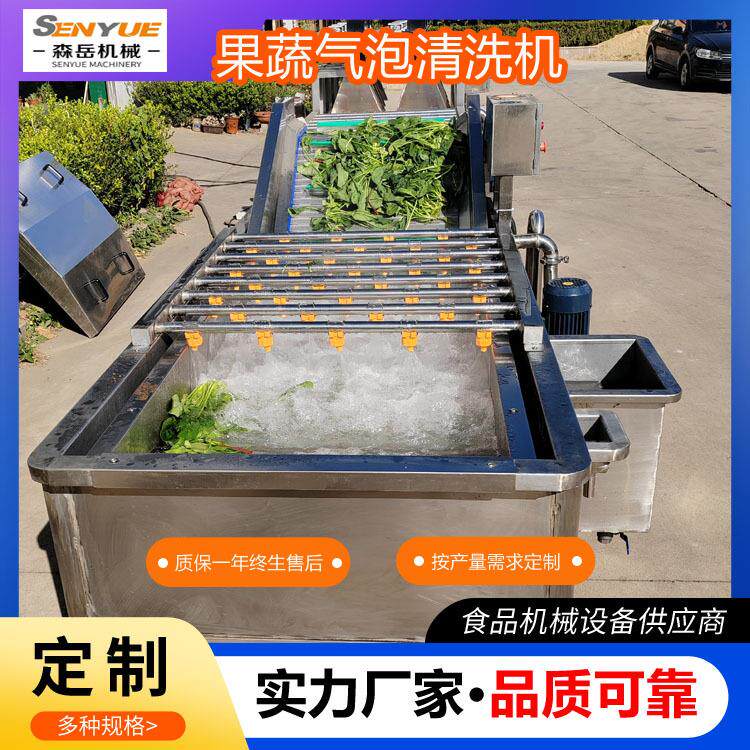 工厂用果蔬气泡清洗机姜芽连续式清洗风干线苦菜鼓泡翻浪清洗机