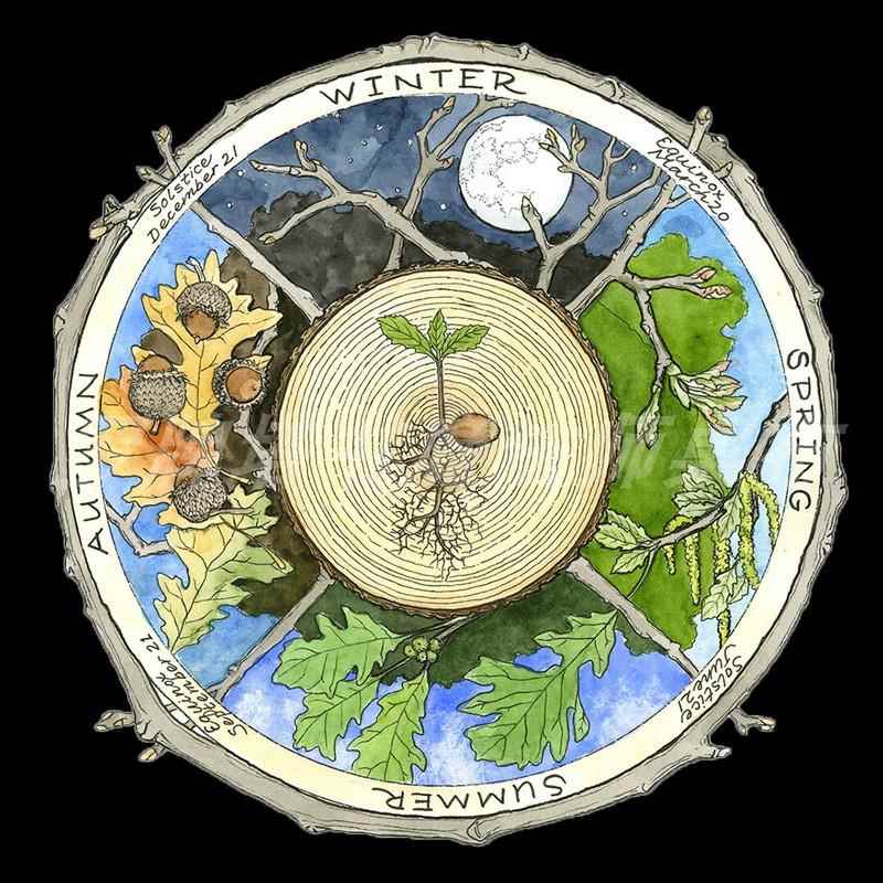 塔罗桌布 四季元素绒布 塔罗牌垫 罗牌桌布 桌垫 神秘娱乐