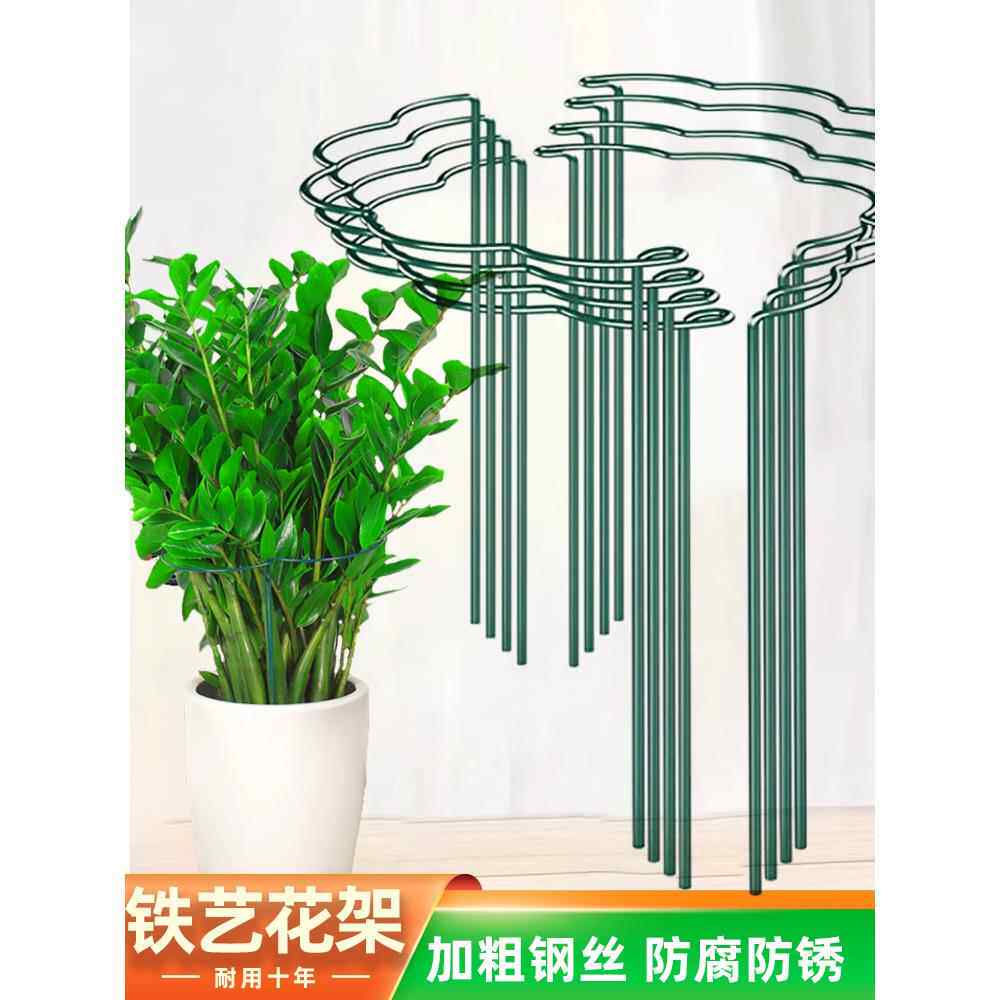 爬藤支撑杆花架防倒伏支架固定植物支撑架花架子龟背竹金钱树护花