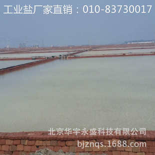 供应一吨晶纪中多少钱 工业盐 用世盐软化水牌工业盐