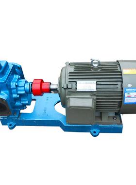 供应KCG20/0.6高温热油泵20立方0.6MPA造纸涂料泵2CG油泵齿轮泵