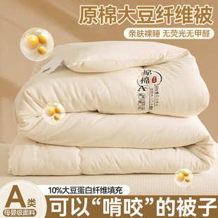 大豆礼品类学生宿舍 被单双冬被a被春秋活动原棉被人纤维加厚新款