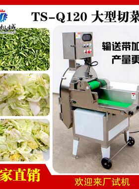 大型商用切菜机多功能切片切段机芹菜白菜切段机加宽输送带